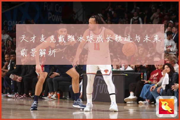 天才麦克戴维冰球成长轨迹与未来前景解析